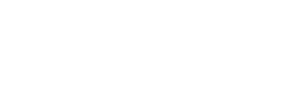 FlowForce Max Logo